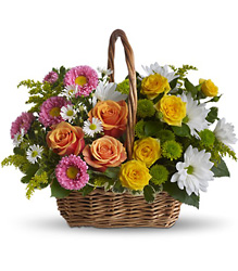 Sweet Tranquility Basket from Visser's Florist and Greenhouses in Anaheim, CA
